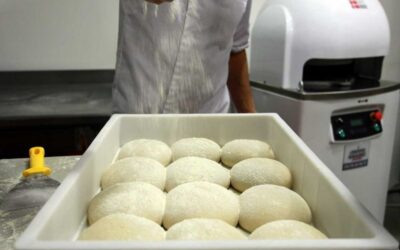 Maturation de la pâte à pizza : ce qu’il faut savoir